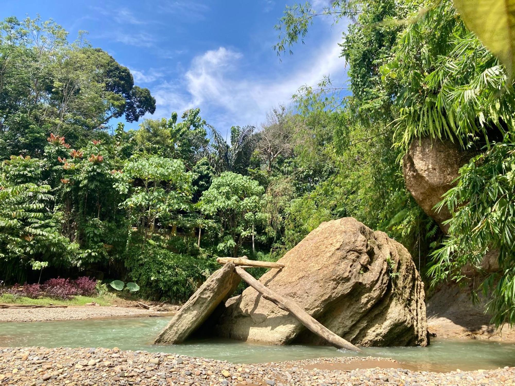 R5 Keramba Inn Bukit Lawang Zewnętrze zdjęcie